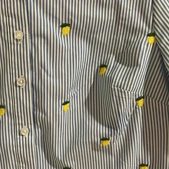 The Lemon Way Embroidered Lemon Buttondown - Picture 2 of 3